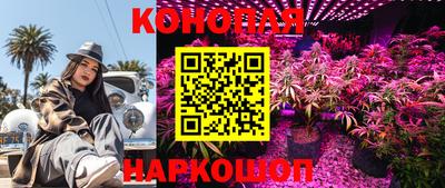 стаф Можайск